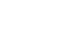 FERRIC CHLORIDE